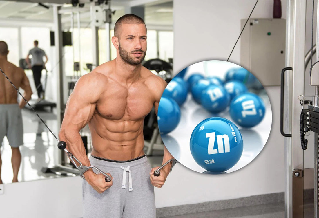 Zinc is important for men's testosterone, sexual health and fertility