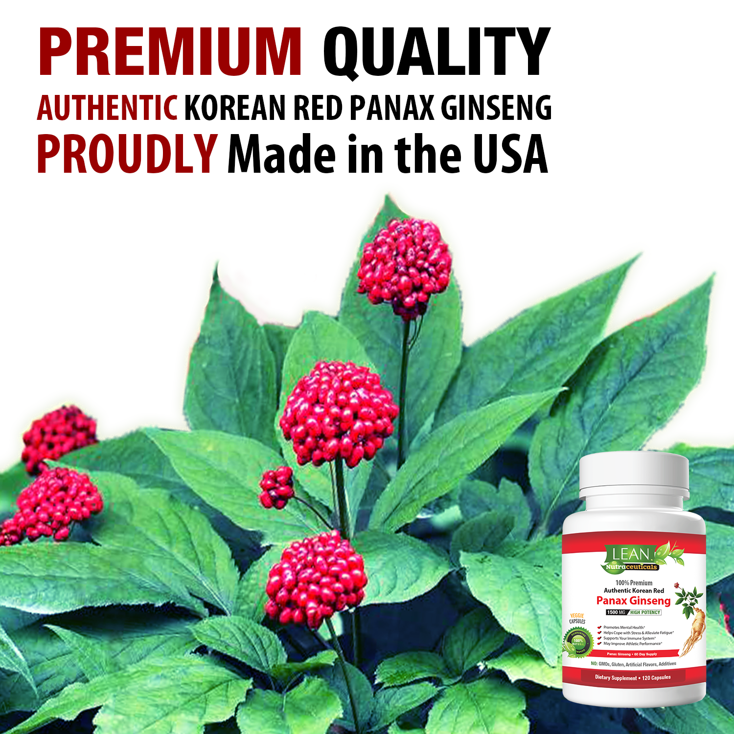 [Premium Quality 100% Pure Nutritional Supplements For Men & Women, Made in USA]-LEAN Nutraceuticals ™